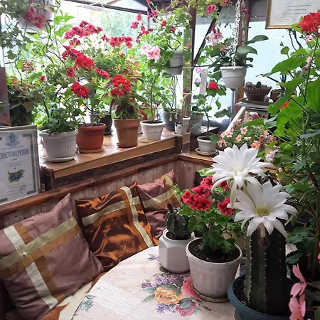 Diana Къща за гости 3*