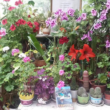 Diana Къща за гости