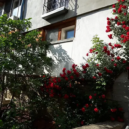 Diana Велико Търново