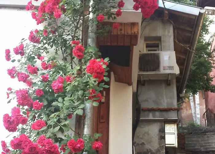 Diana 3* Veliko Tarnovo