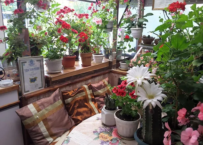 Diana Guest house 3*