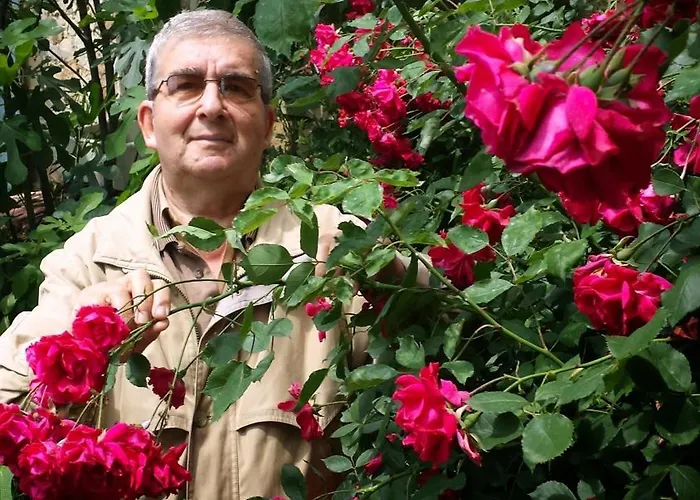 Diana 3* Veliko Tarnovo