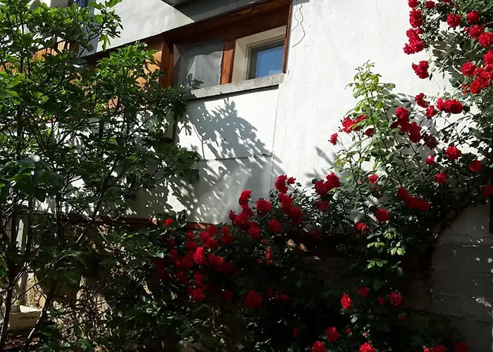 Diana Veliko Tarnovo