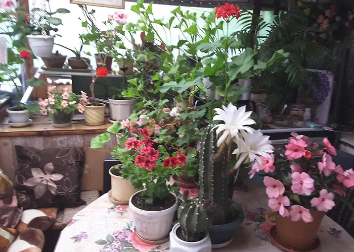 Guest house Diana Veliko Tarnovo